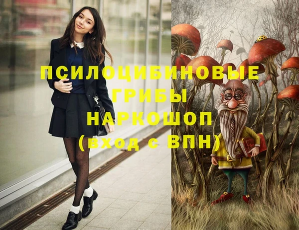 бошки Богданович