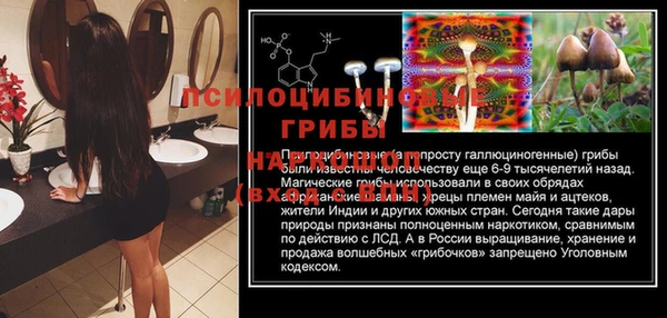 бошки Богданович