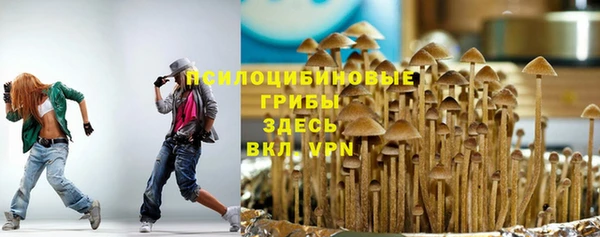 прущая мука Бронницы