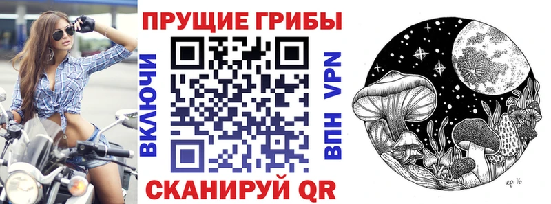 Псилоцибиновые грибы Cubensis  Купить  Лысьва 